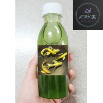 Tảo biển Full Gold Ribbon thức ăn cho cá lên màu đẹp