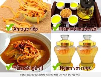 ĐÔNG TRÙNG HẠ THẢO