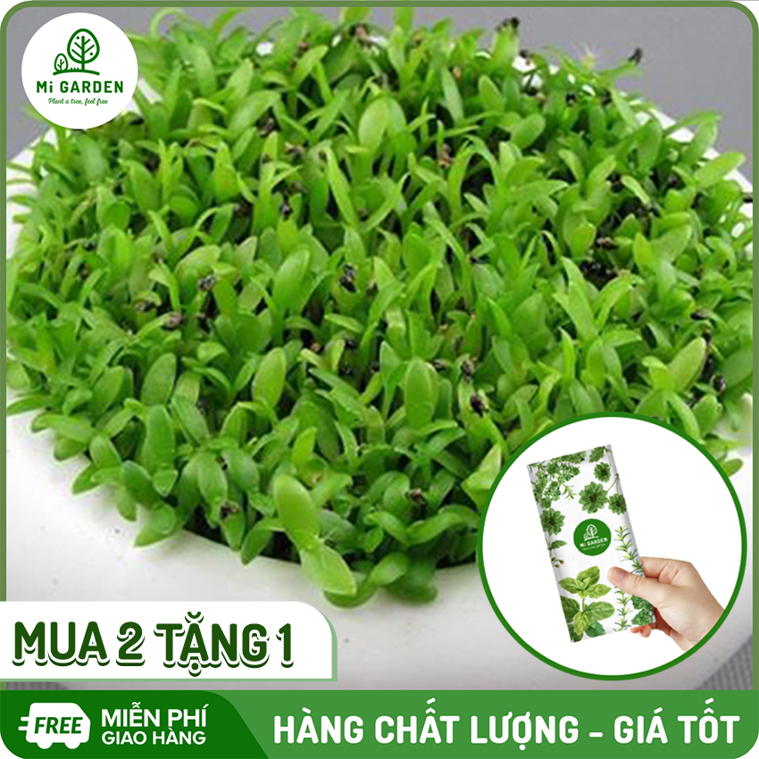 Hạt giống Cỏ may mắn Mi Garden, hạt giống dễ trồng, dễ chăm sóc, hoa đẹp
