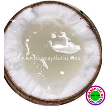 DỪA SÁP LOẠI 2 (800gr-900gr)