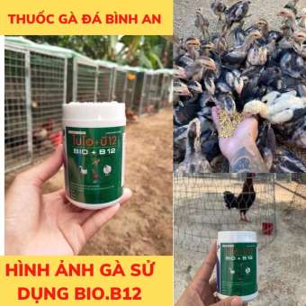 BIO B12 - Úm gà con.Bio b12 úm gà con , úm gà con, úm gà con mới nở tăng tỉ lệ sống 101%, thích hợp cho gà asil, kelso, f1, tăng cường b12 gà con tăng đề kháng, bóng đèn úm gà bóng úm gà