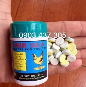 Dùng cho gà bị đường ruột phân xanh trắng 3 màu 1-2 ngày khỏi