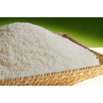 GẠO TÁM XOAN HẢI HẬU (Hàng mới mỗi tuần) 1KG