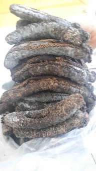 1 cặp hải sâm Nha Trang tặng 1 cặp sao biển