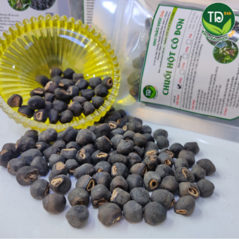 Chuối cô đơn (chuối chân voi, chuối hột lớn, chuối hột mồ côi), đánh bay sỏi thận, rất tốt cho những ai bị tiểu đường I Kho Thảo Dược 24h