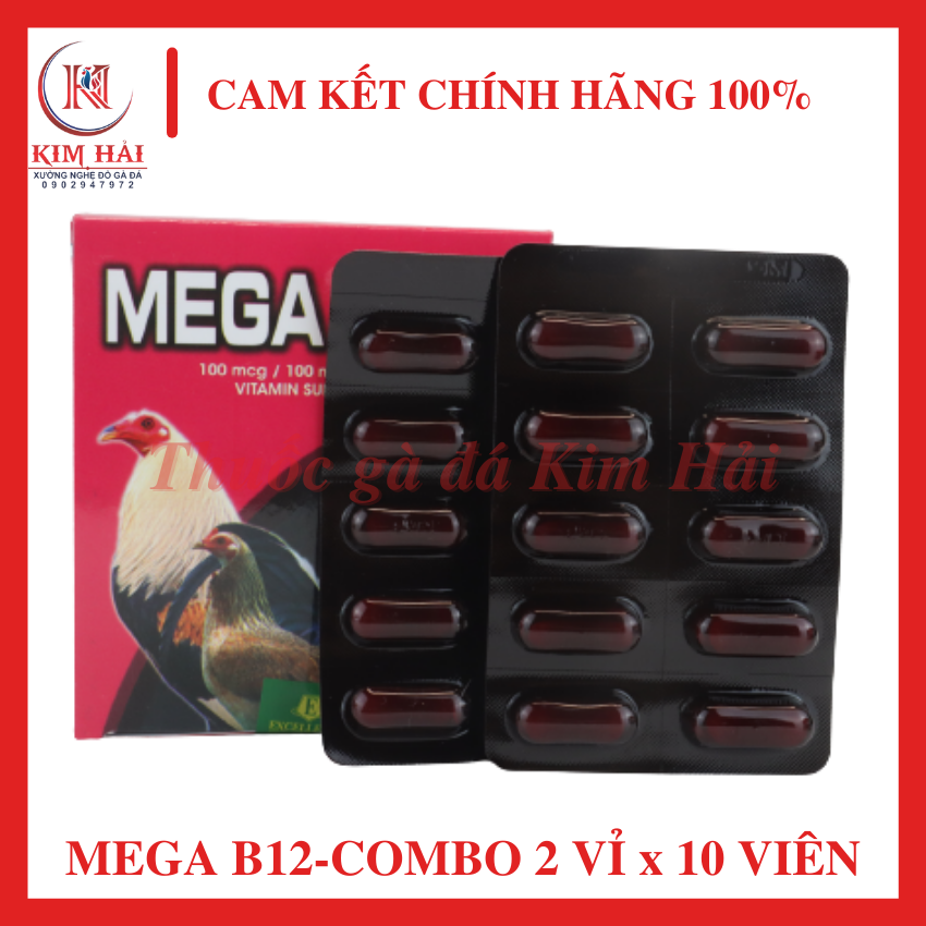 MEGA B12 -Philippines[combo 2 vỉ x 10 viên ]-[uống nuôi hằng ngày]-Tăng số lượng hồng cầu, ngăn ngừa bệnh thiếu máu, tăng sự sắc nét, tỉnh táo của gà chọi,giúp cơ bắp phát triễn tối ưu gia tăng sức mạnh, thể lực.