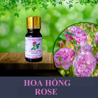 Tinh dầu hoa Hồng 10ml
