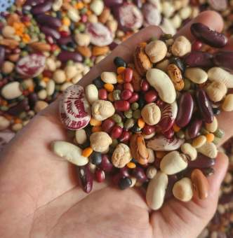 500grm Đậu Mix Loại Nấu Chè, Nấu Cháo, Làm Sữa Hạt, Set Đậu Hỗn Hợp Dinh Dưỡng - Date mới