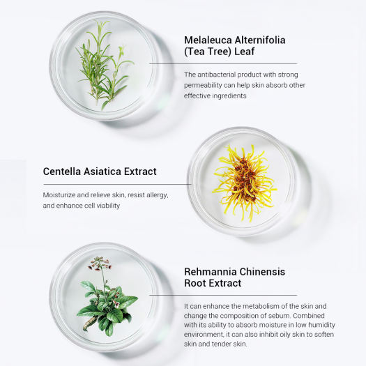 Serum BREYLEE Acne Treatment Kit Mụn Chăm Sóc Da Mặt Kem Dưỡng Da Mặt Skincare Mụn ẩn Chấm Mụn Serum Dưỡng Da Dàm Trắng 17ml