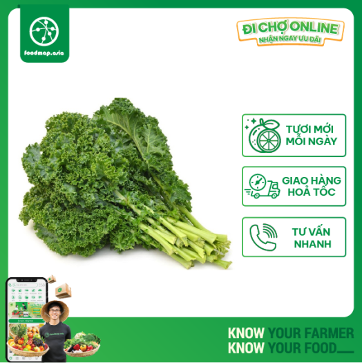 Cải Kale (Cải Xoăn) Đà Lạt - Túi 500g - Đặc Sản Ngon Lành