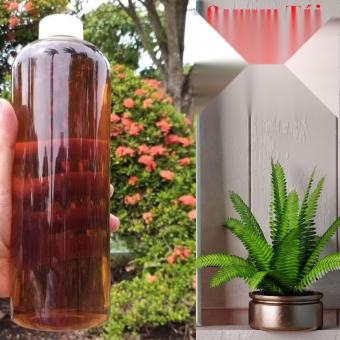 Tinh chất Tái Tạo Da hồng sâm Cao Cấp Không Sưng Đỏ Handmade