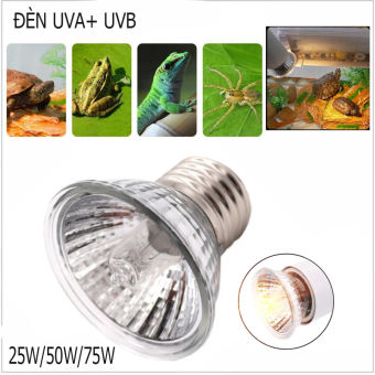 Bóng Đèn UVA + UVB 75W Đèn Rùa Và Bò Sát Đèn Sưởi