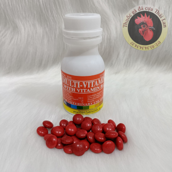 Lọ 100 viên (Thuốc gà đá . nuôi gà cao cấp Philippines) Multi – Vitamin With Vitamin B12