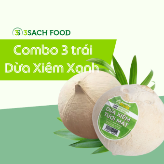 Combo 3 trái Dừa xiêm xanh UFO size L