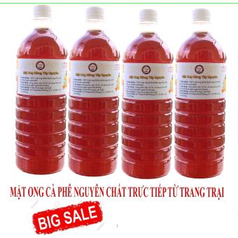 Bộ 4 chai Mật Ong Nguyên Chất Rừng Tây Nguyên 1 Lít (Giá Gốc, Bao Đủ Lít)