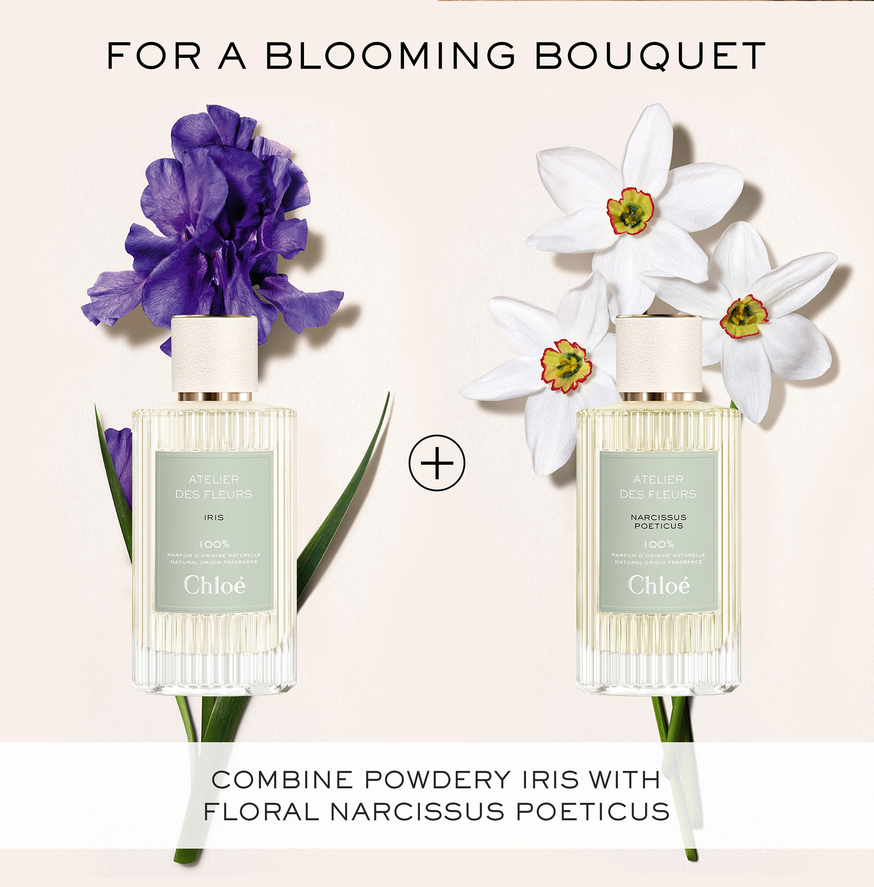 Chloé Atelier Des Fleurs Iris Eau De Parfum For Women 50ml