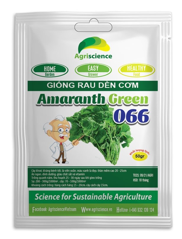 Hạt giống dền cơm lá tròn amaranth green 066 -