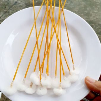 Bông Ngoáy Tai - cây bông ráy tai- bông ngoáy tai 10 CÁI