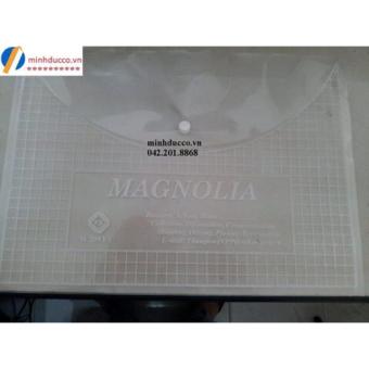 Combo 50 -100 túi clear bag khổ F