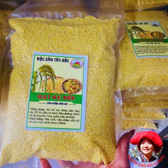 Hạt kê nếp vàng đã tách vỏ loại 1 (500g, 1kg), hạt kê cho bé ăn dặm organic hữu cơ nấu chè, xôi, làm bánh, sữa hạt, nấu cháo cho bé