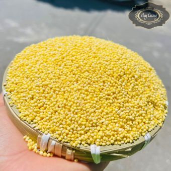Hạt kê nếp vàng đã tách vỏ loại 1 thượng hạng, hạt kê cho bé ăn dặm (500g, 1kg). Hạt kê nếp vàng organic hữu cơ nấu chè, nấu xôi, làm bánh, sữa hạt, nấu cháo cho bé