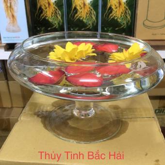 Mẫu Bèo Chậu, Bễ , Chân Ly Nuôi Cá Mã (PH-DC02) - Thủy Tinh Bắc Hải