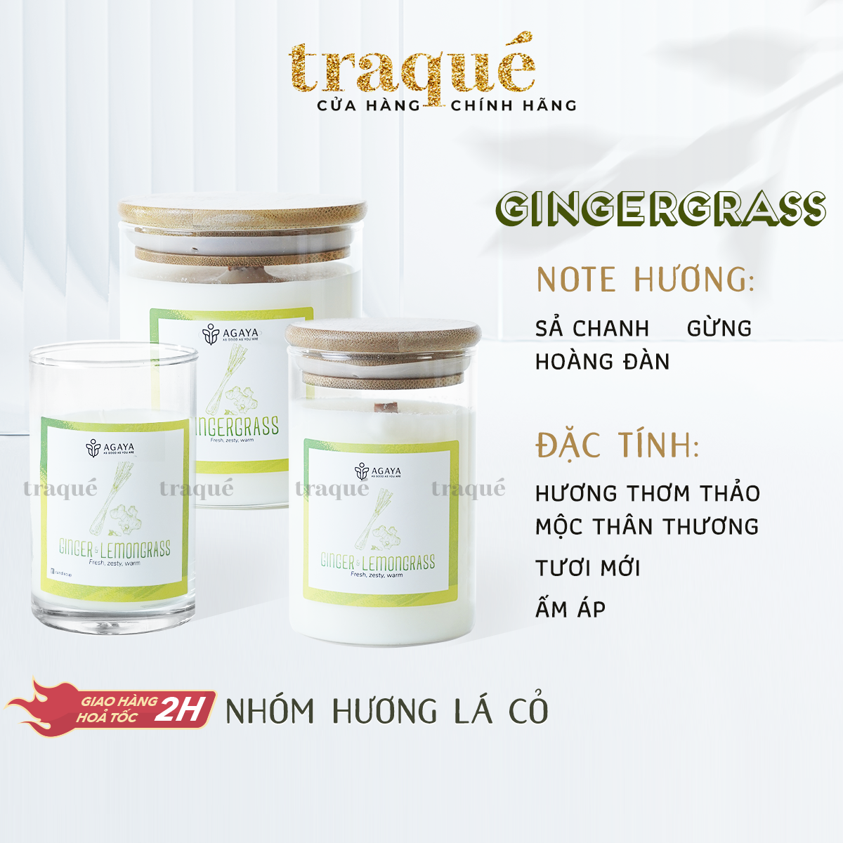 Nến thơm agaya/candle cup - hương thảo mộc gingergrass