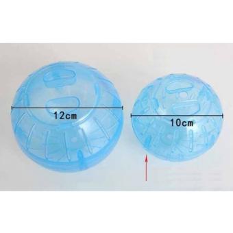 Banh chạy cho Hamster