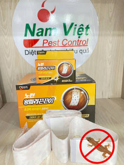 KEO BẪY THẰN LẰN , RUỒI .. - 1 Hộp nhỏ 5 Miếng