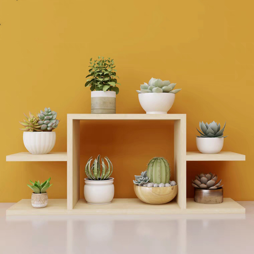 Kệ để bàn trang trí xương rồng mini decor Vân gỗ