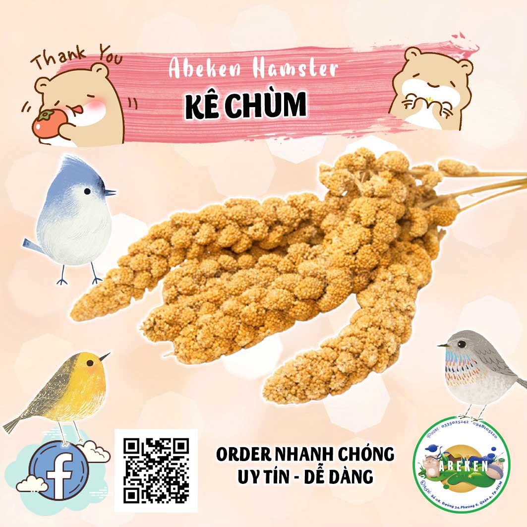 Kê chùm - giúp mượt lông dài lông cho Hamster/ CHIM