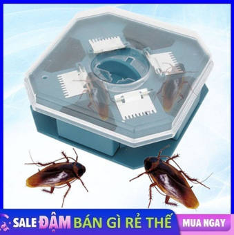 Dụng cụ bắt gián thông minh siêu tiện lợi - Hộp Bẫy Gián Thông Minh Không Dùng Hóa Chất - Thiết Bị Bẫy Gián, Bắt Gián Bằng Phương Pháp Vật Lý