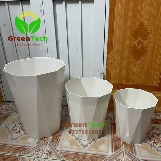 Ảnh Thật - Chậu nhựa trồng cây Kim Cương đủ size