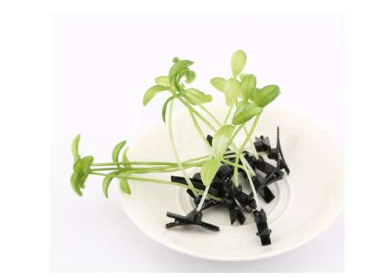 Combo bộ 5 cây kẹp tóc mầm cây cute