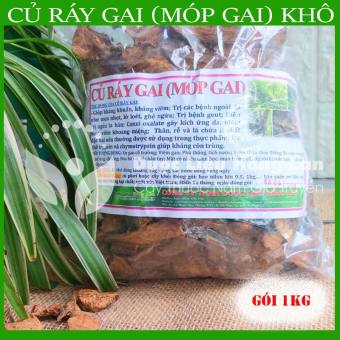 CỦ RÁY GAI (MÓP GAI) khô sạch đóng gói 1kg - Công Ty TNHH Dược Liệu Hồng Lan