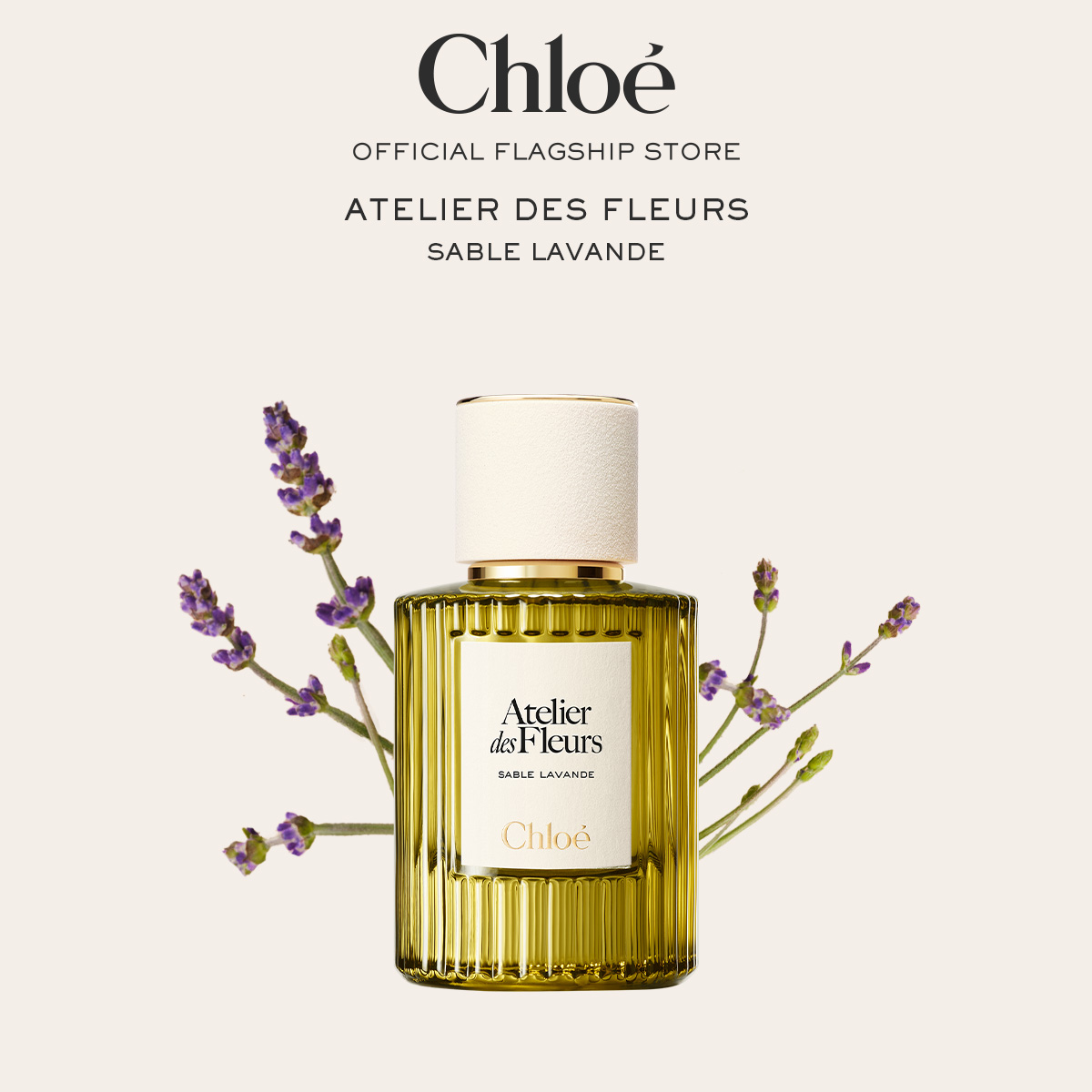 Chloé Atelier des Fleurs Cedrus Intense Eau de Parfum for Women