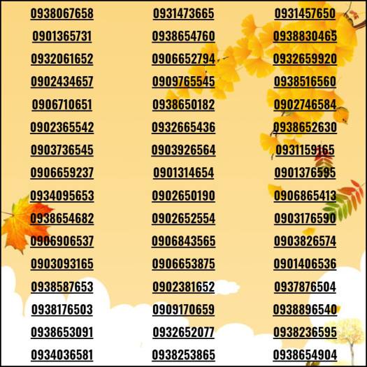 Sim đẹp mừng XUÂN