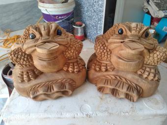 Cóc xá xị đỏ 20cm