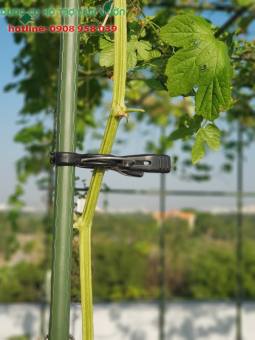 KẸP GIỮ THÂN CÂY SIZE ỐNG 16-20, SET 10 CÁI