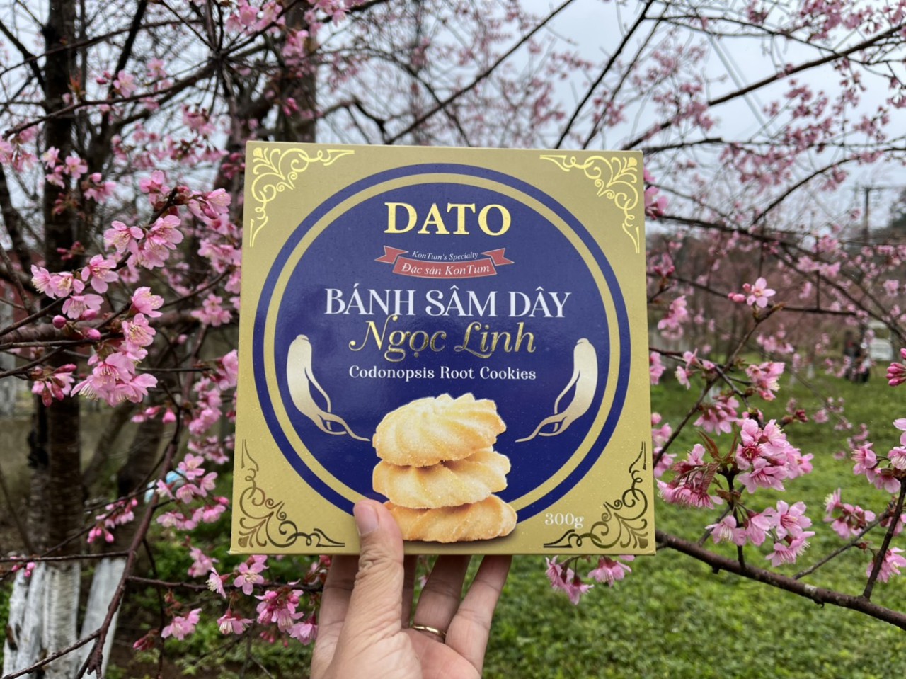 Bánh sâm dây ngọc linh - đặc sản kon tum