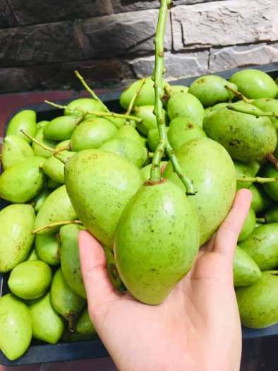 Xoài Non Chấm Mắm Ruốc - Giòn Rụm - Tươi -Ngon ( Đặc sản vùng nam bộ )