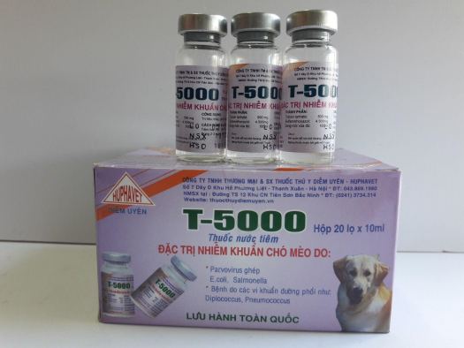 good-looking 10 chai T5000 Kháng sinh đặc trị tiêu chảy nôn mửa chó mèo