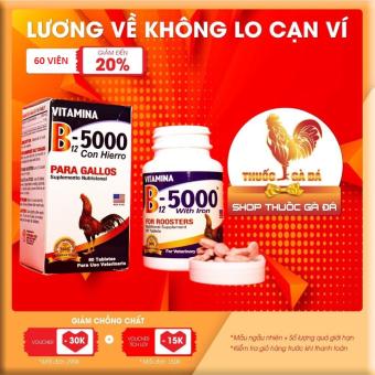 Thuốc Gà Đá B12 5000 -  BỔ SUNG VITAMINS CHO GÀ ĐÁ, thuốc gà đá , thuốc nuôi gà đá , thuoc ga da tang bo