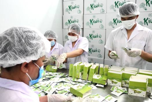 Bột Trái Cây Giảm Cân Emo Detox (7Gói/1 hộp)