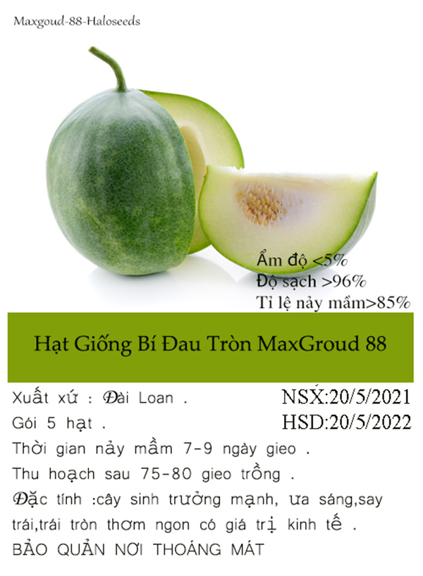 [HCM]Gói 5 hạt bí đao tròn thơm ngon  chịu nhiệt dễ trồng -tỉ lê nảy mầm >80%