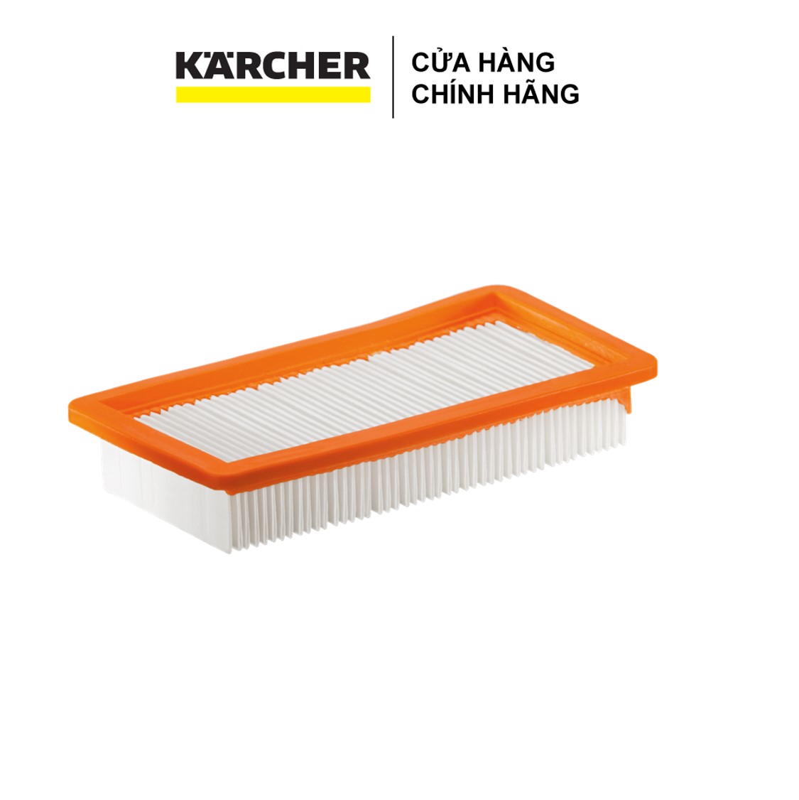Lõi lọc bụi bảo vệ động cơ dành cho máy hút bụi lọc nước Karcher DS 6