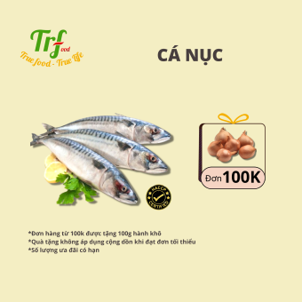 Cá nục Nhật cá thu đao nhập khẩu Truefood 400-500g [HN ship hỏa tốc]