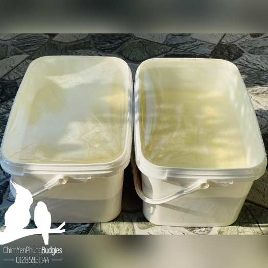 200Gr Bột NutriBird A21 giàu dinh dưỡng cho vẹt non - XUẤT XỨ: BỈ_date mới.