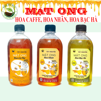 Mật ong nguyên chất hoa cà phê - Mật ong hoa nhãn - Mật ong hoa bạc hà
