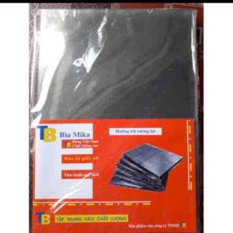 Bìa kiếng mica A4 đài loan mỏng 1.2 ( combo 10 miếng)